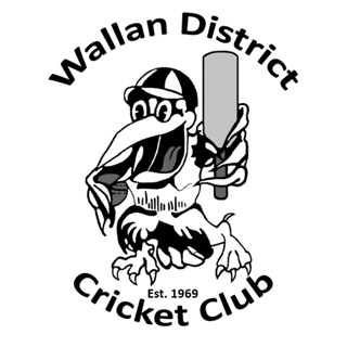 wallan cricket